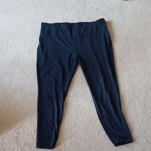 Navy Leggings 2X Terra & Sky